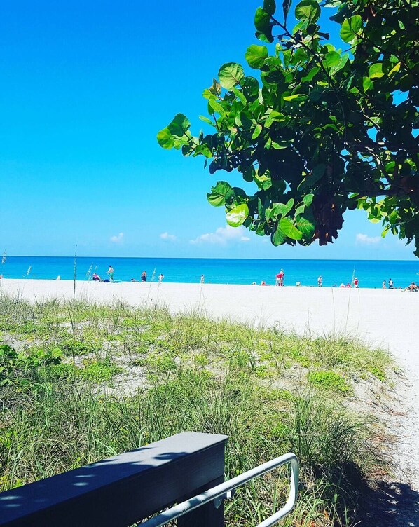 Sun loungers, beach towels