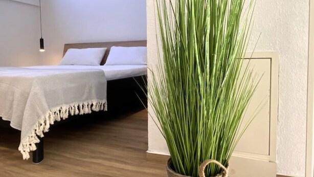 Une chambre à coucher avec un lit, une table de chevet et une plante en pot.