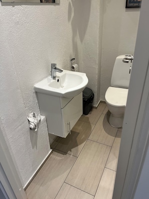 Sèche-cheveux, serviettes fournies, papier toilette