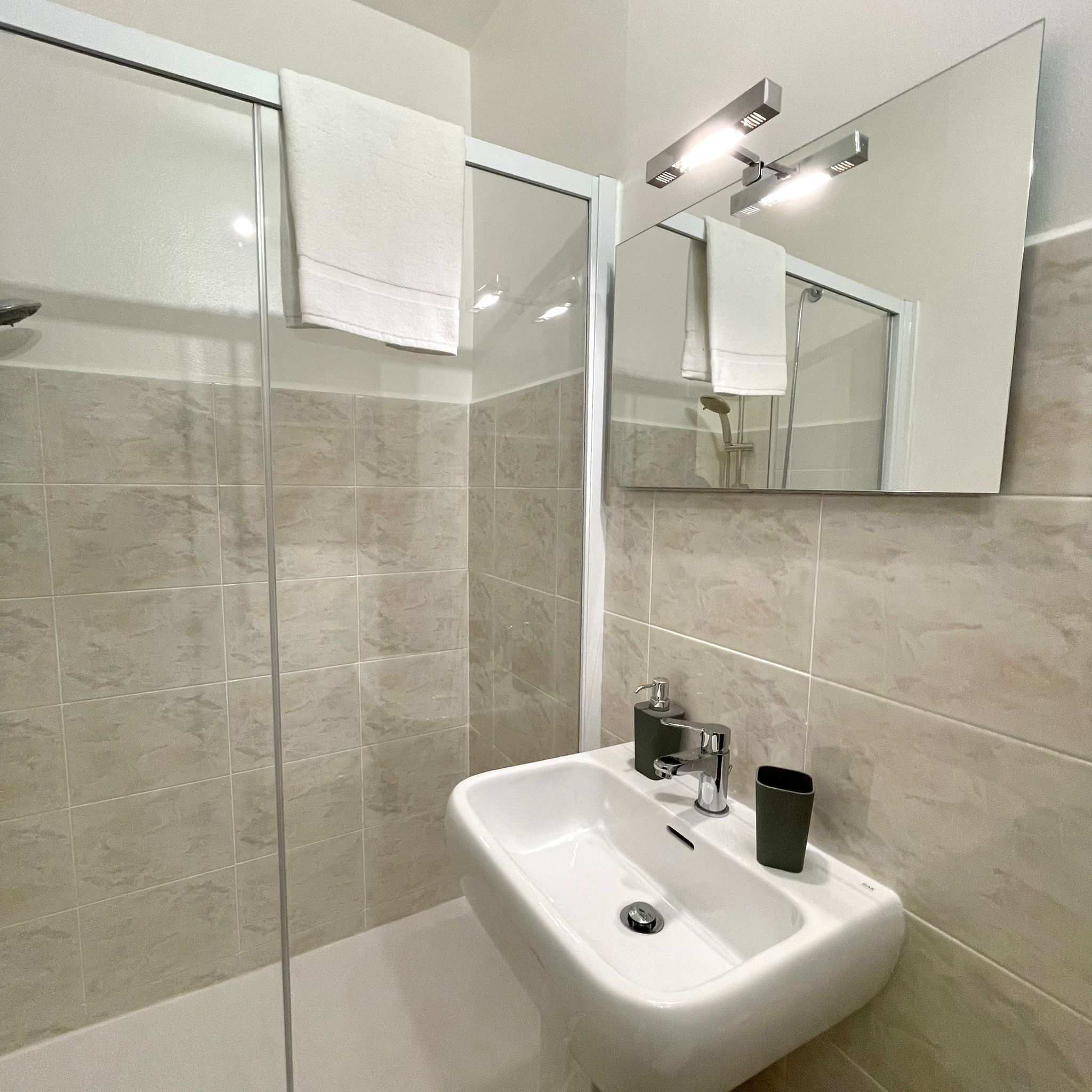 A modern bathroom with a glass shower enclosure, a white sink, and a mirror above it.
