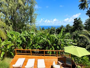 Property grounds - Little Diamond Jungle Home, Panoramic Ocean Views, 2 Verandas &Tropical Garden (Saint Joseph)