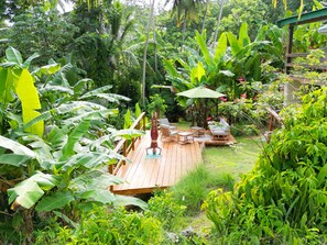 Property grounds - Little Diamond Jungle Home, Panoramic Ocean Views, 2 Verandas &Tropical Garden (Saint Joseph)
