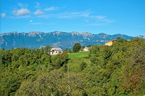 Miscellaneous - VALENTINA MANSION 'PRIMROSE HOUSE' (Sant' Anna d alfaedo)