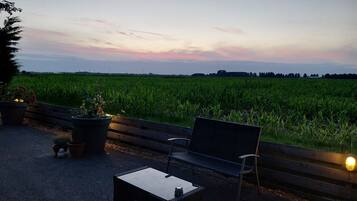 Terras