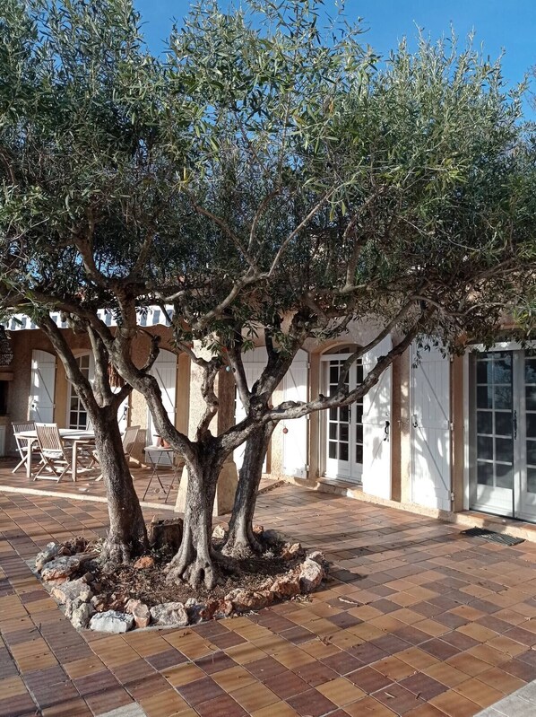 Exterior - Provencal house Verdon (Aups)