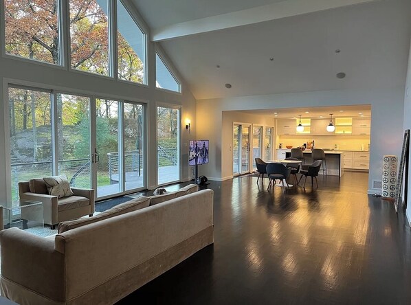 Télévision, cheminée, espaces bureaux