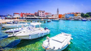 Apartment, 3 Bedrooms, Smoking, Balcony | Marina