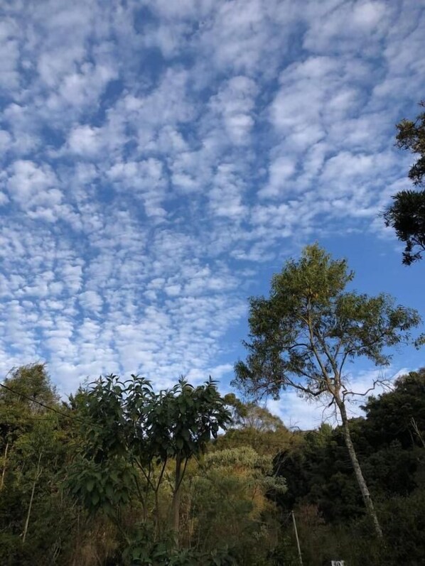 A natural landscape with a clear sky and trees. - Terrace House (Camanducaia)