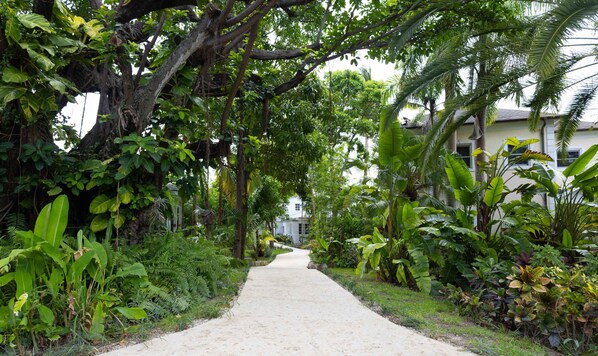 Property grounds - Silk Cotton Apartment 21 (Nassau)