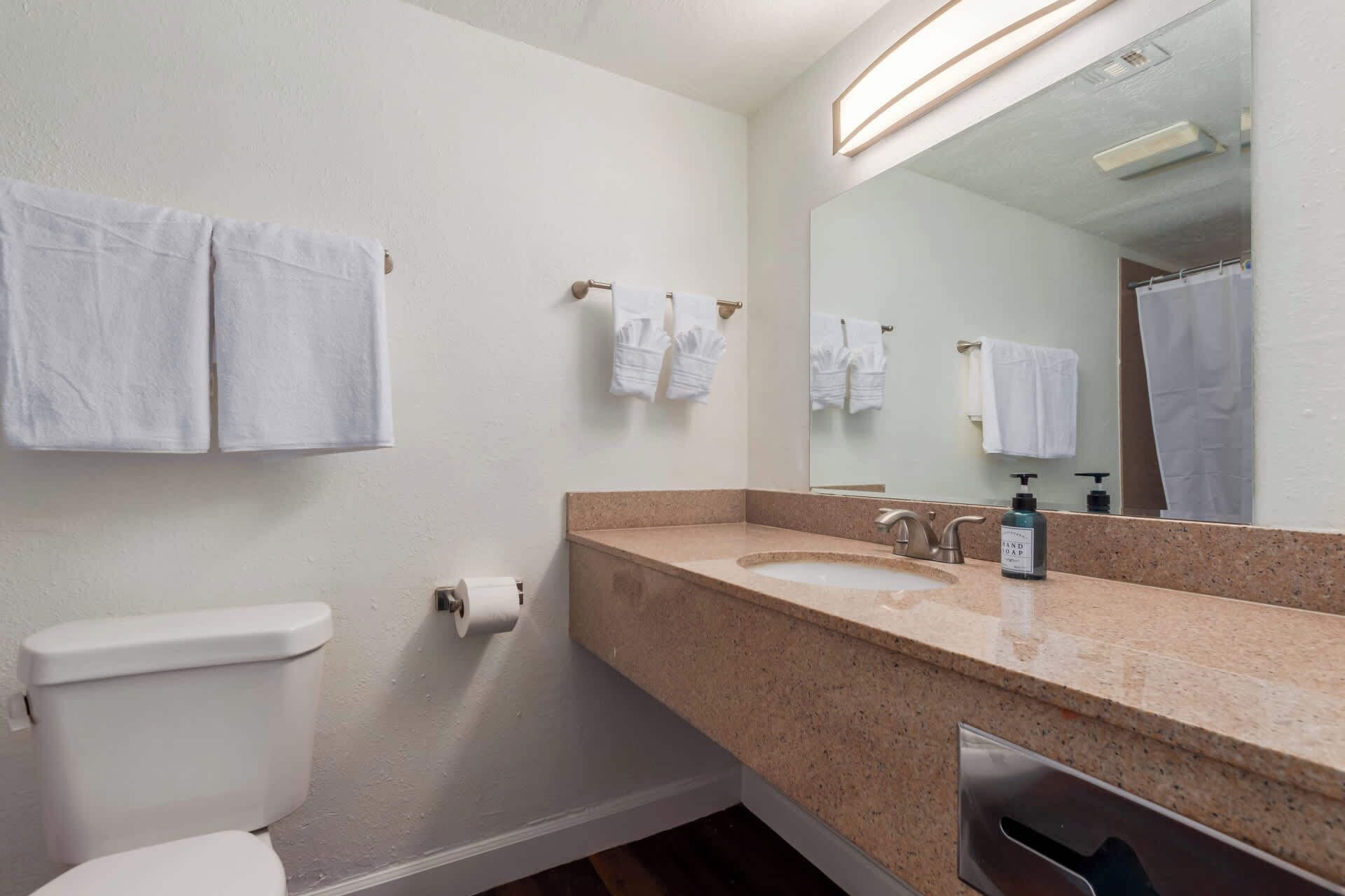 Een badkamer met toilet, wastafel en spiegel. Handdoeken hangen aan de muur en er staat een handzeepflesje op de wastafel.