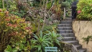 A garden with a stone staircase, a metal chair, and a potted plant.