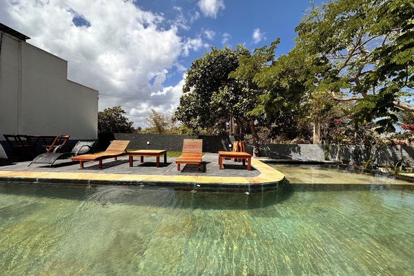 Smart TV 55 polegadas com canais via satélite, brinquedos