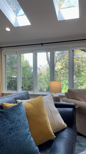 Una Smart TV, una chimenea, libros