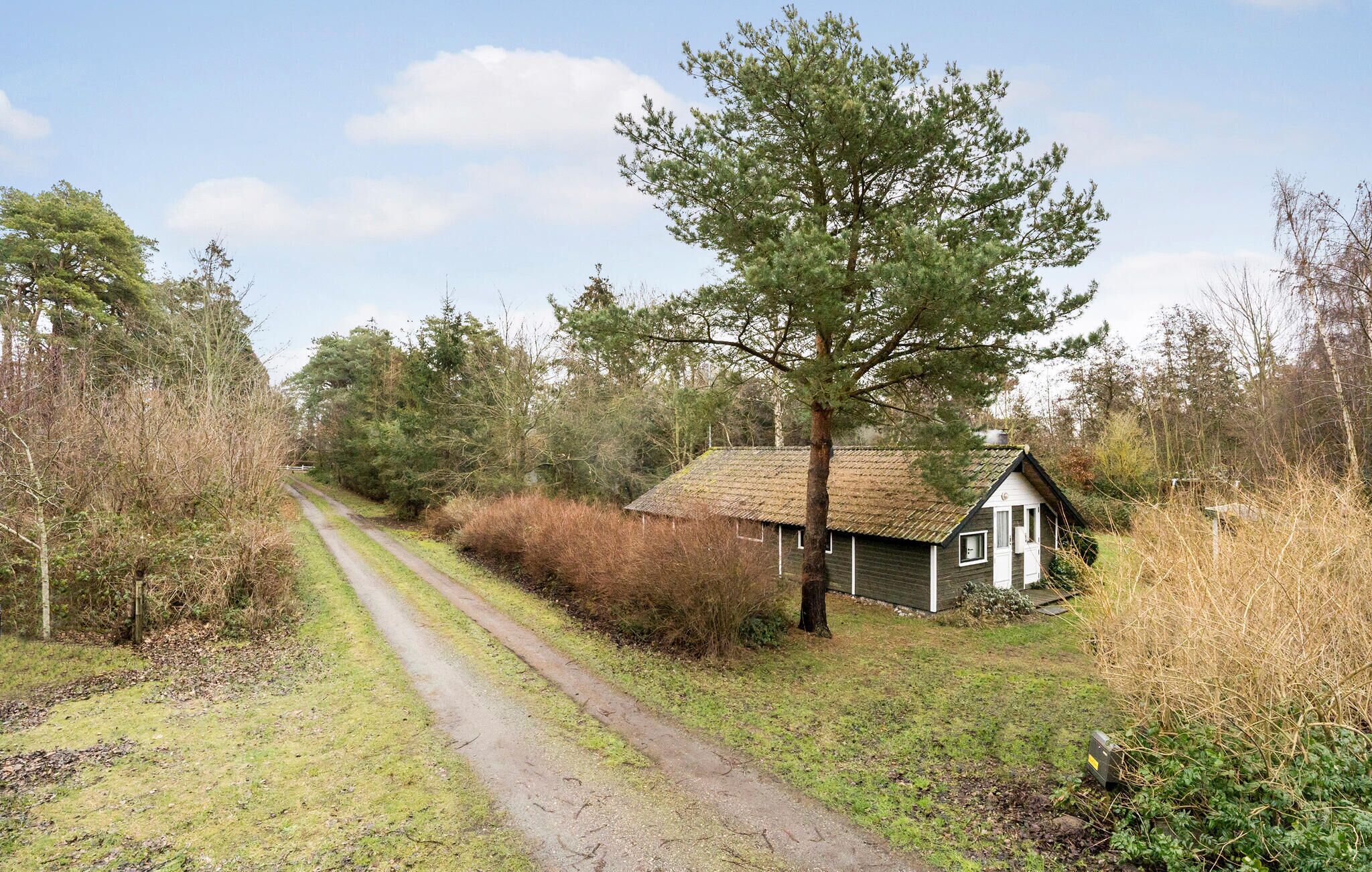 A rural setting with a small house by a dirt road, surrounded by trees and vegetation.