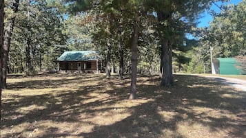 A cabin with a green roof, surrounded by trees and a clear sky.