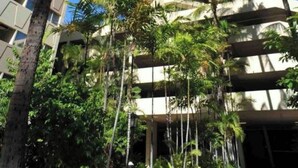 Un edificio alto y moderno con un diseño en zigzag, rodeado de palmeras y otra vegetación.