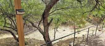 Vigilante Inn Immortal Camp