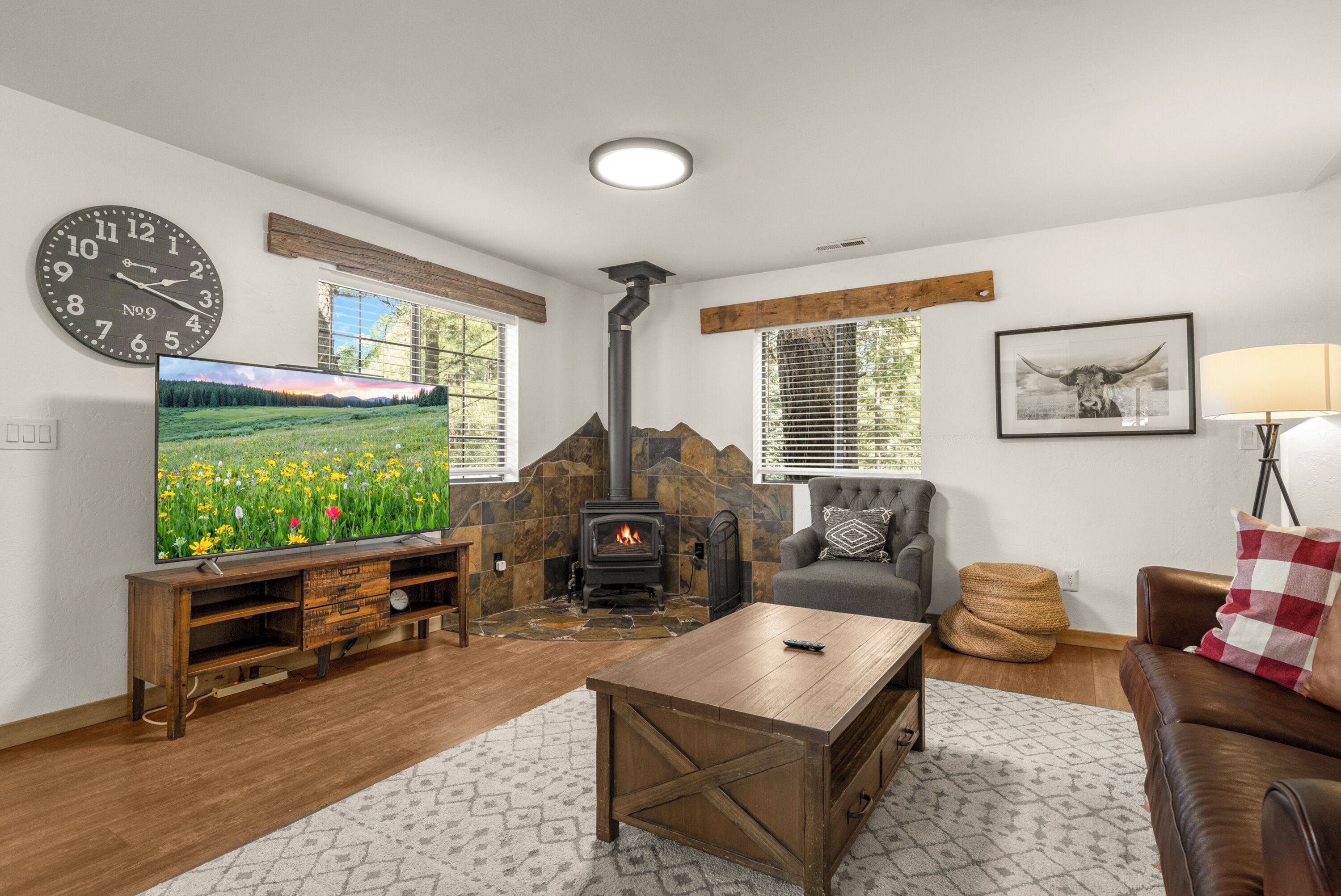 Fernseher, Kamin, Bücher