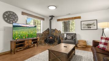 TV, fireplace, books