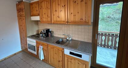 Gracious Apartment With Patio in Hills