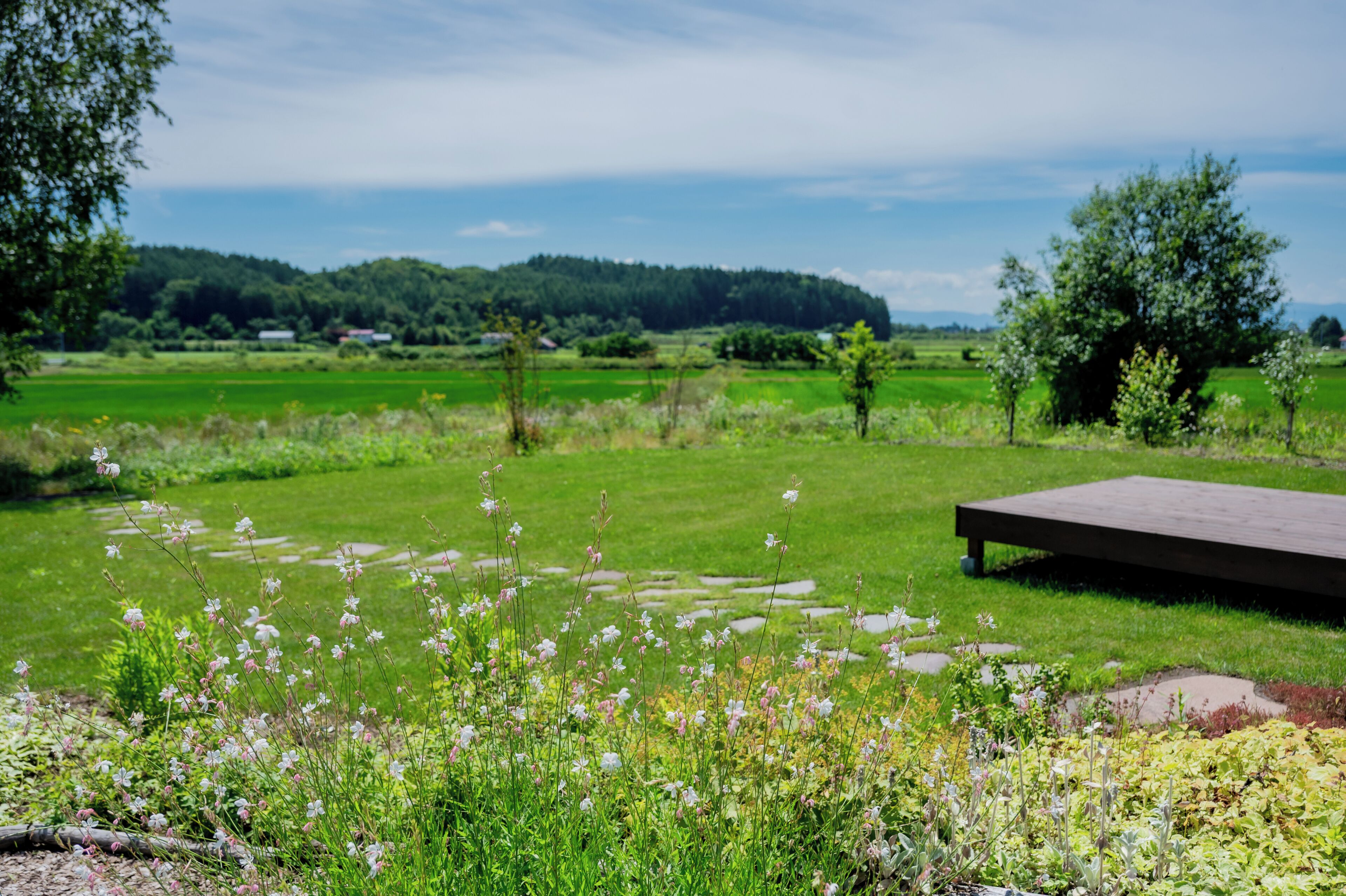 A grassy outdoor area with a wooden bench and a stone pathway.