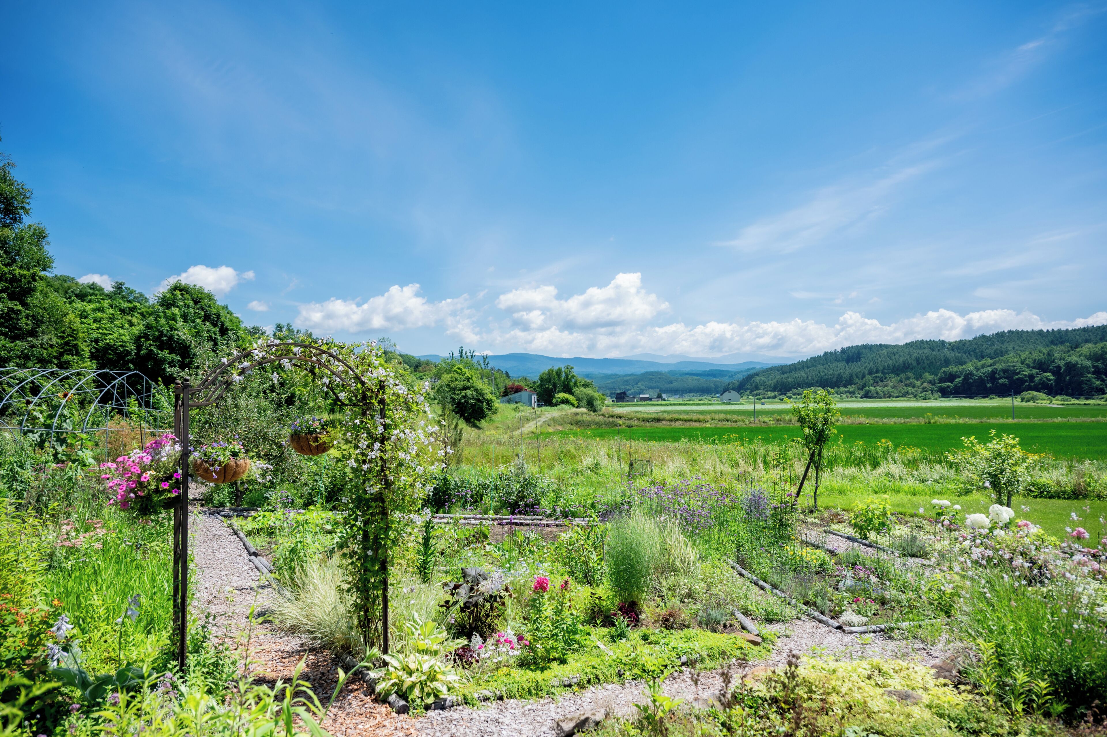 A garden with a variety of plants and flowers, a pathway, and a view of distant hills and a clear sky.