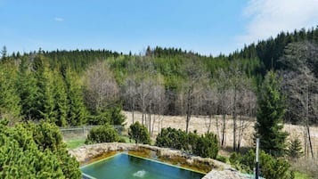Villa | Pool