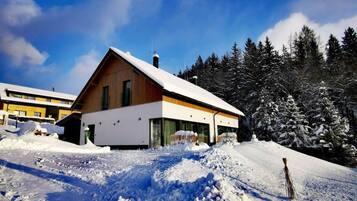 A modern wooden house with a sloped roof, surrounded by snow-covered trees and a clear sky.