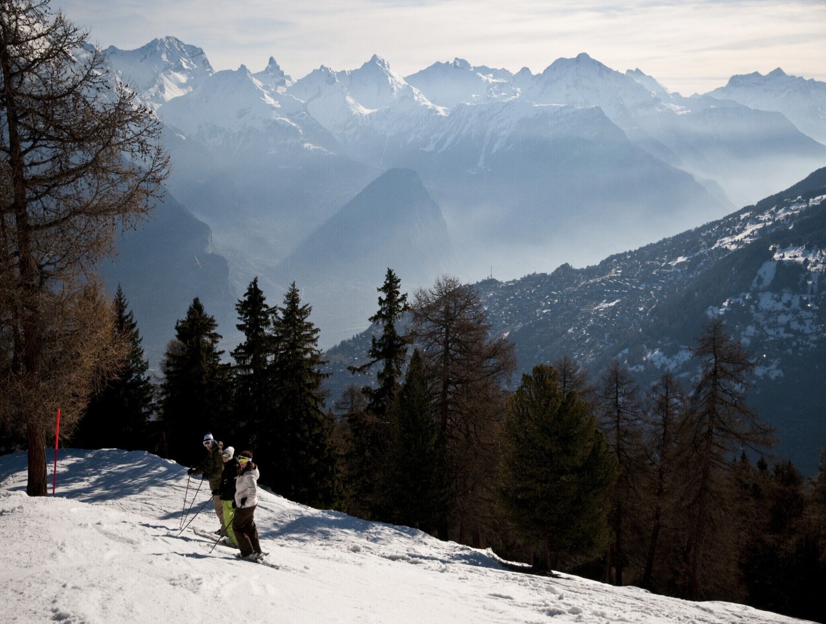 Eine verschneite Berglandschaft mit Skifahrern und einem bewaldeten Gebiet.