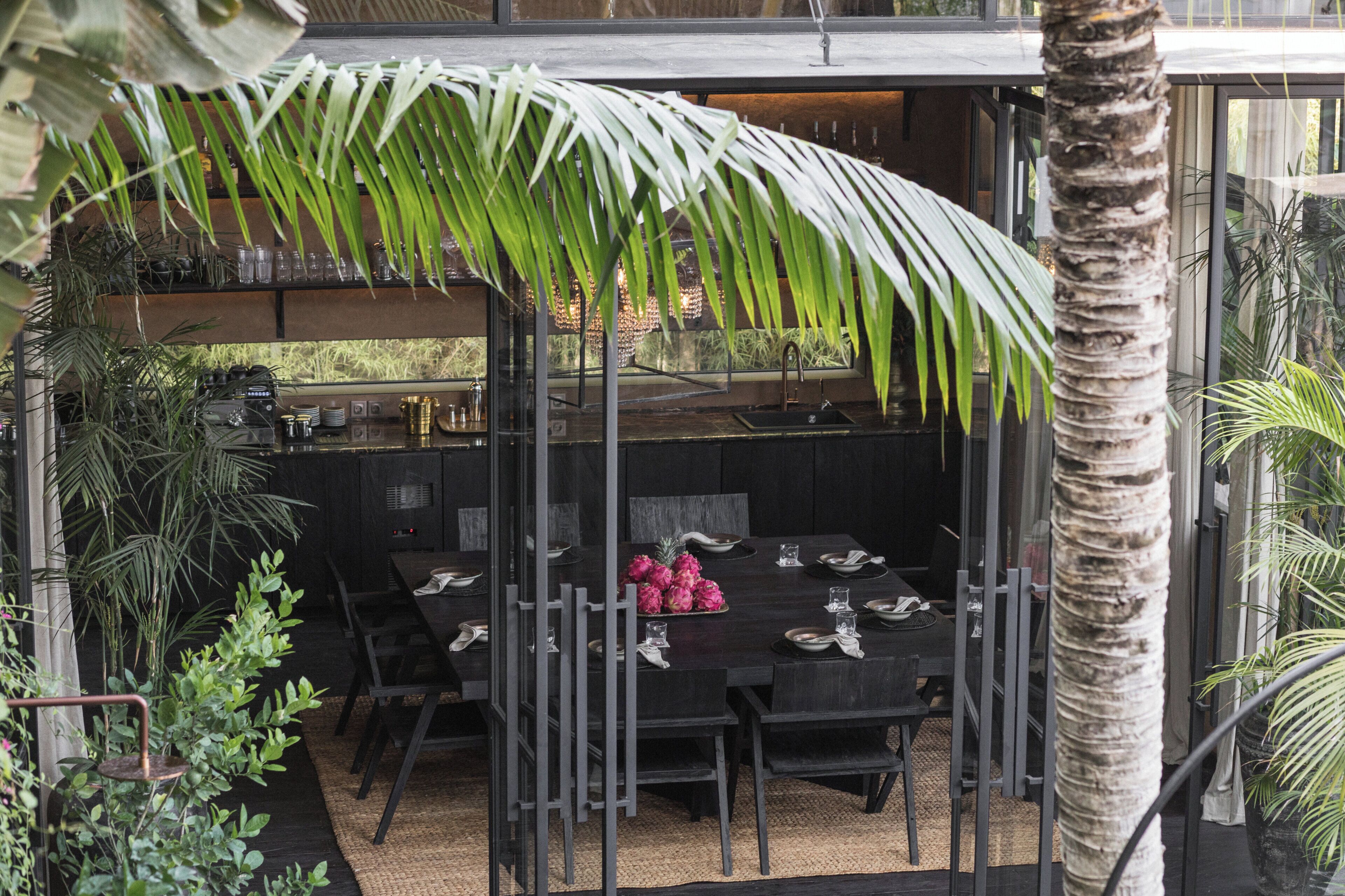 An outdoor dining area with a black table and chairs, surrounded by tropical plants and a palm tree.