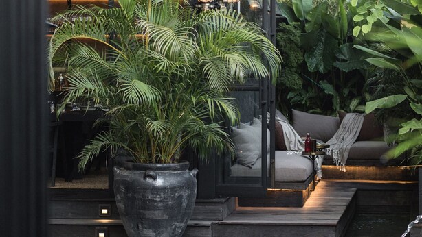 A modern outdoor seating area with a pool, surrounded by lush greenery and a large potted plant. - The Bohemian Bali, a Member of Design Hotels (Canggu)