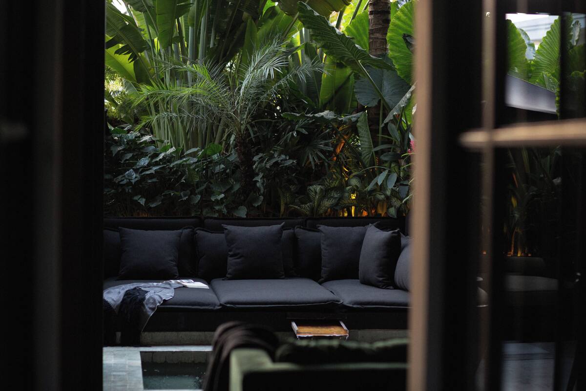 A dark-colored sofa with multiple cushions, positioned in front of a lush green plant area.