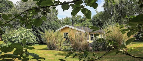 A house surrounded by lush greenery and trees.
