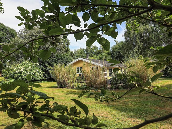 A house surrounded by lush greenery and trees. - 6 Person Holiday Home in Borup (Borup)