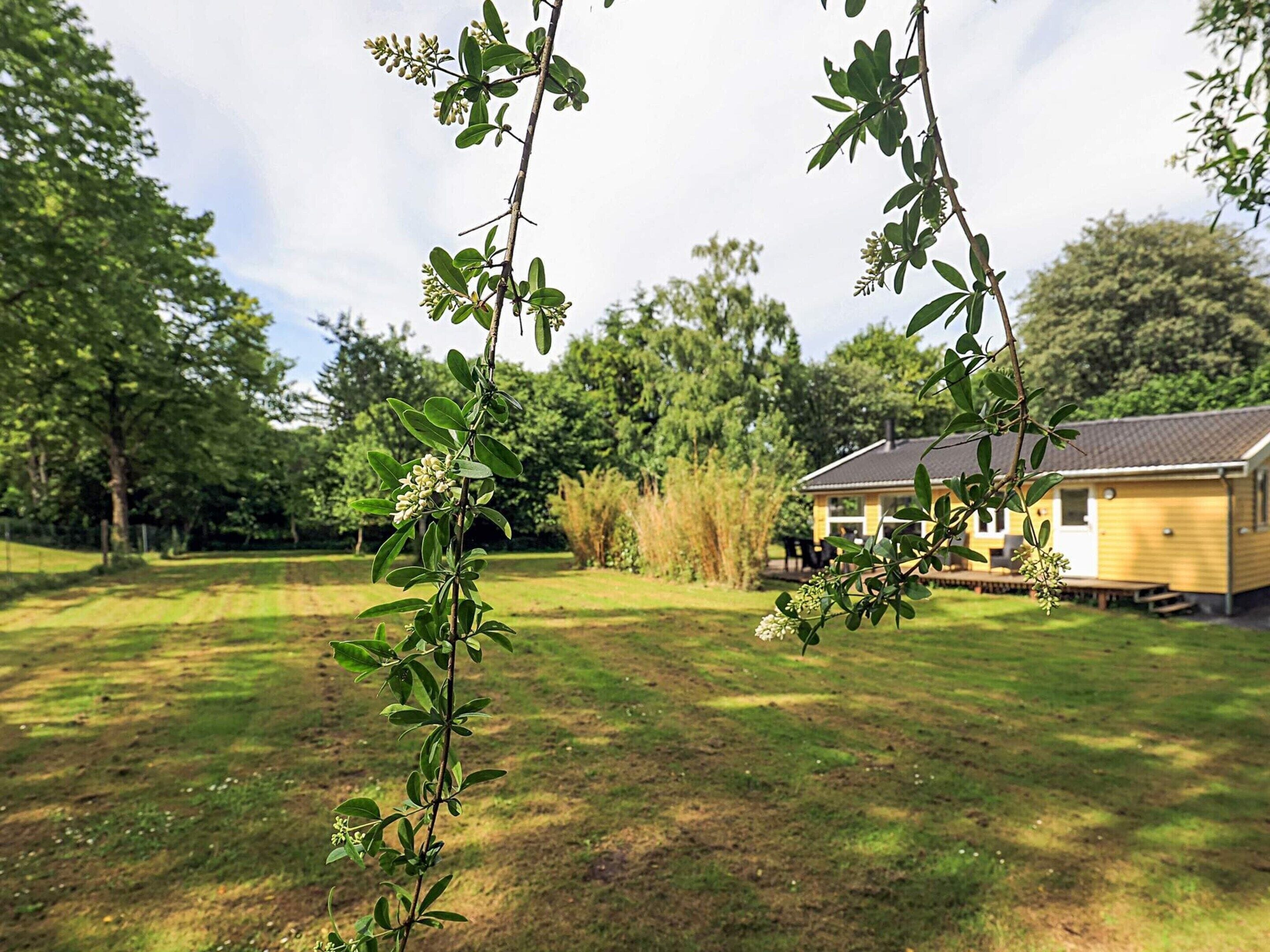 A residential area with a house, a grassy lawn, and trees.