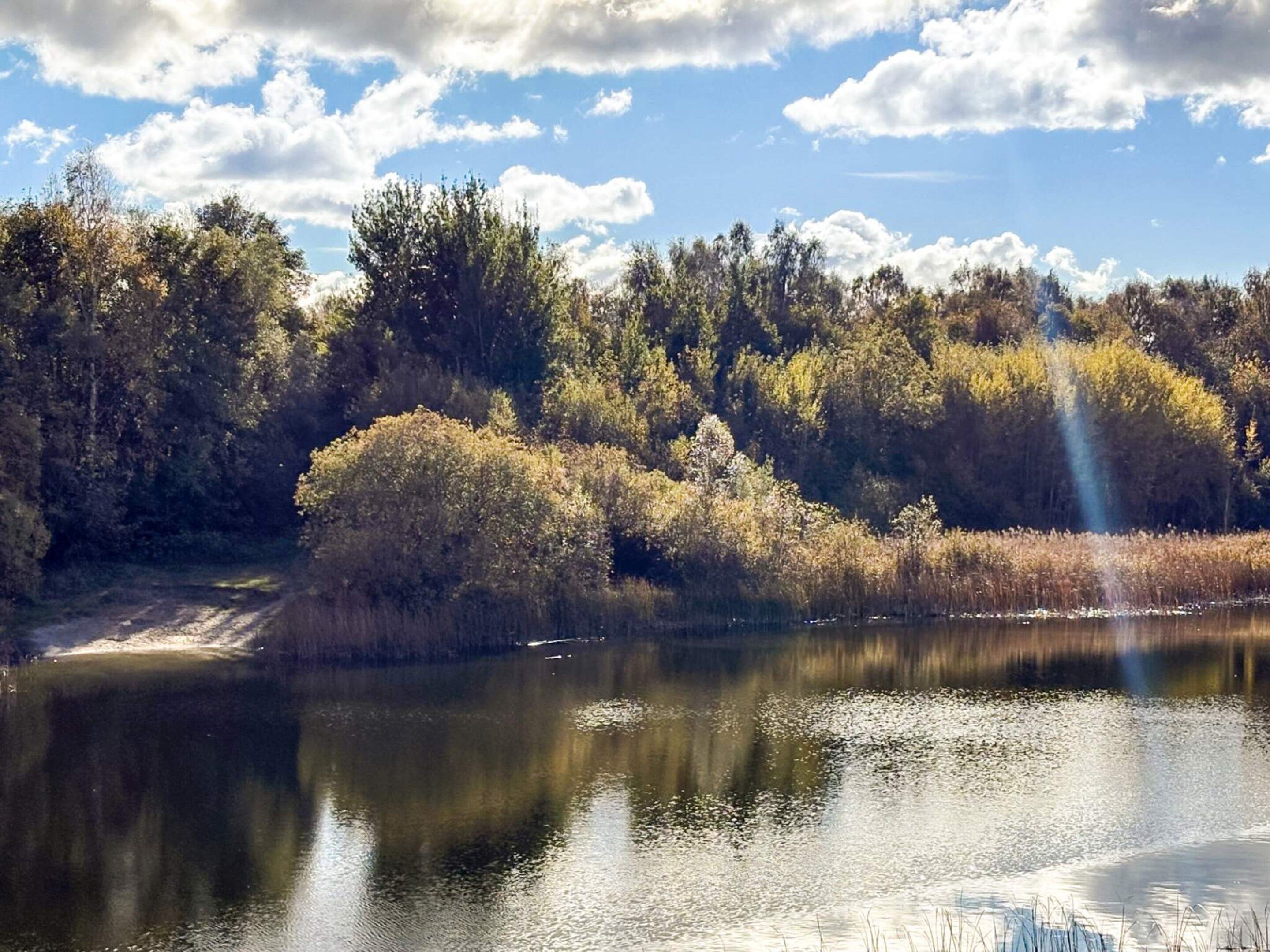 A serene lakeside scene with dense trees and a calm water body reflecting the sky.