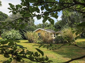 A single-story house with a sloped roof, surrounded by a well-maintained lawn and dense shrubbery. - 6 Person Holiday Home in Borup (Borup)