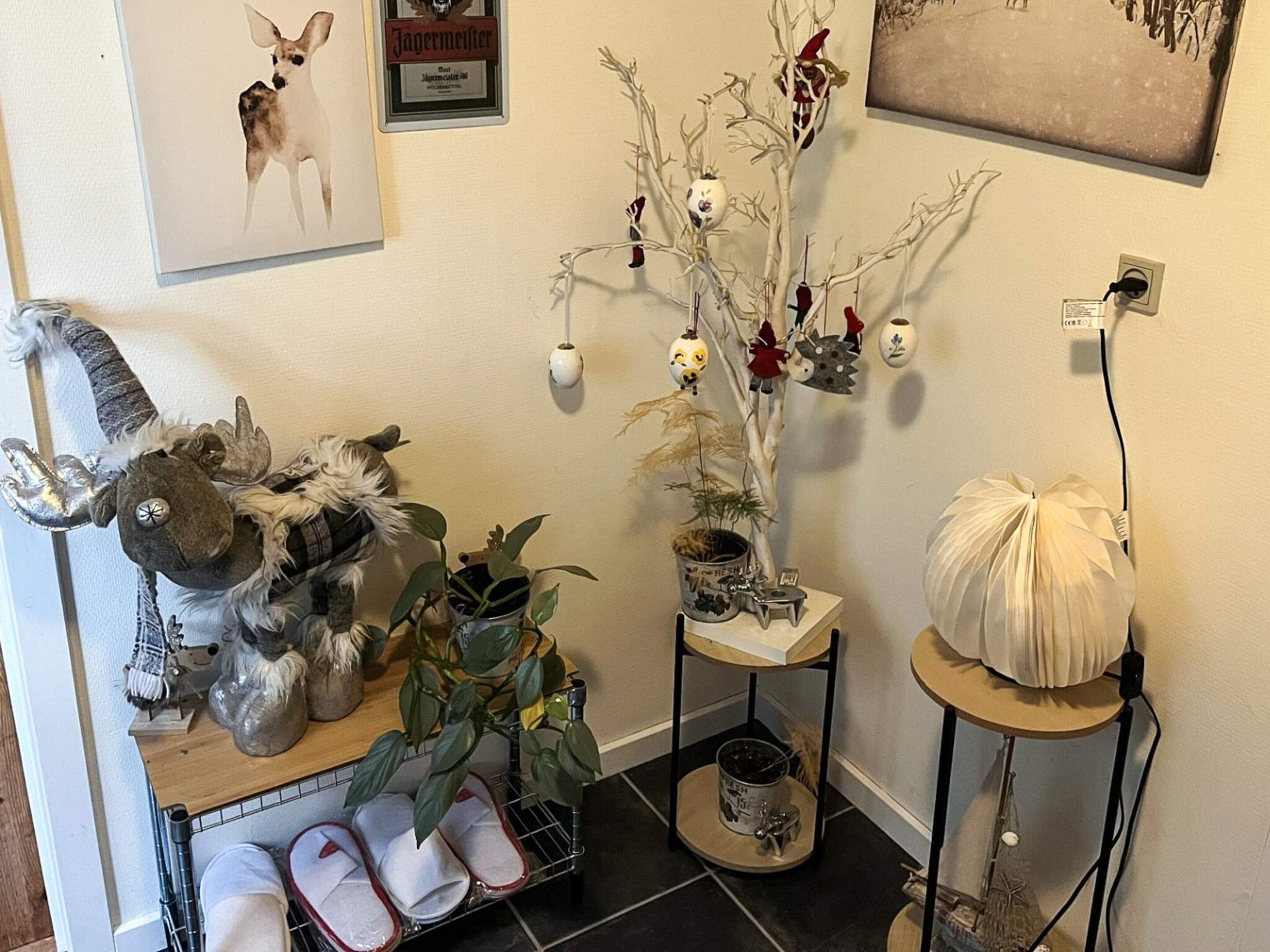 Una habitación con un árbol decorativo, un peluche y un zapatero.