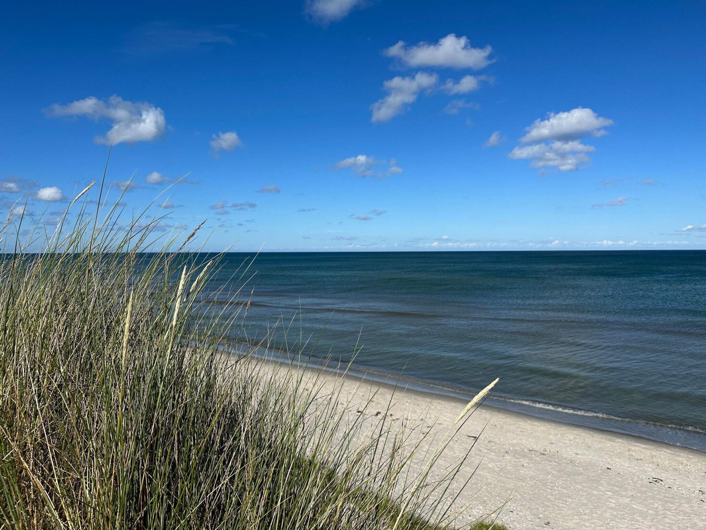 Ein Strand mit blauem Himmel, sandigem Ufer und Gras im Vordergrund.