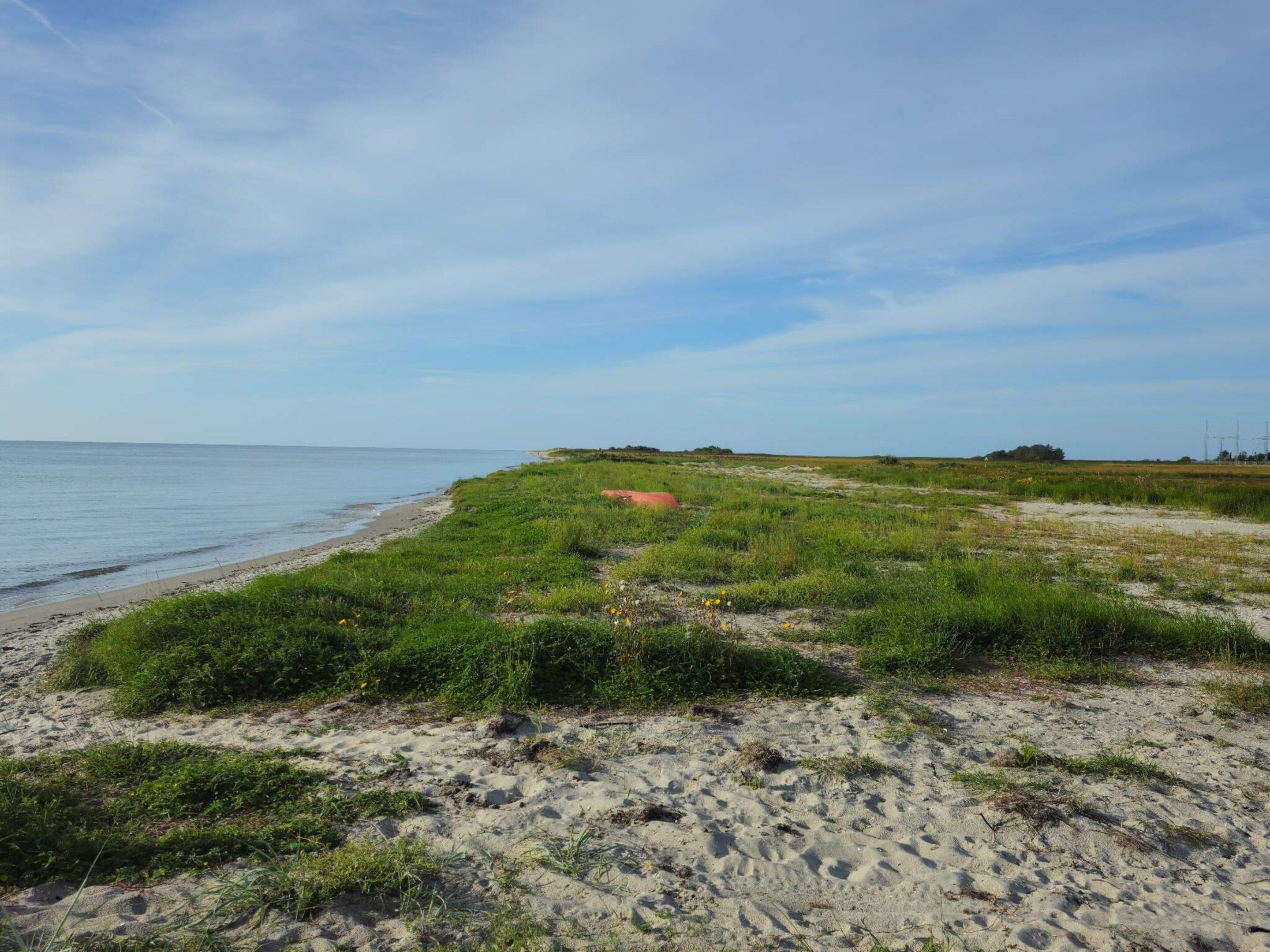 A coastal landscape with a sandy beach, grassy dunes, and a clear sky.