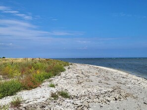 Una playa con arena blanca y vegetación escasa.