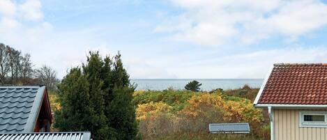 House | Property grounds