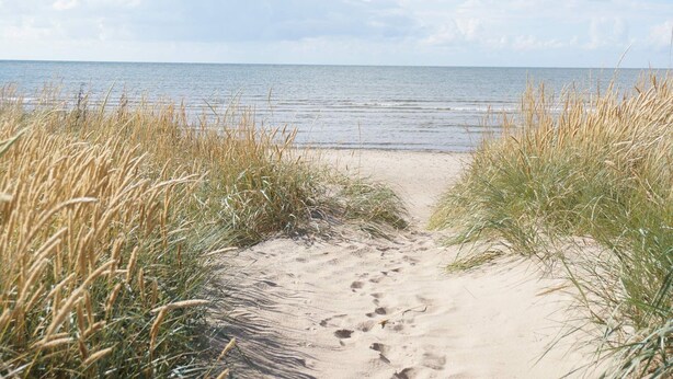 Ein Sandweg am Strand, gesäumt von hohem Gras, der zum Meer führt.