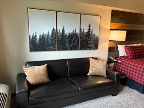 1 bedroom, WiFi, wheelchair access