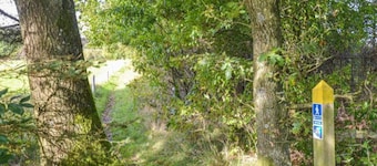 4 Star Holiday Home in Hovborg