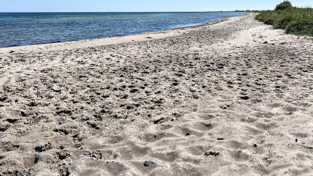 A sandy beach with footprints leading to the water, a clear sky, and distant vegetation. - 5 Person Holiday Home in Borgholm (Borgholm)
