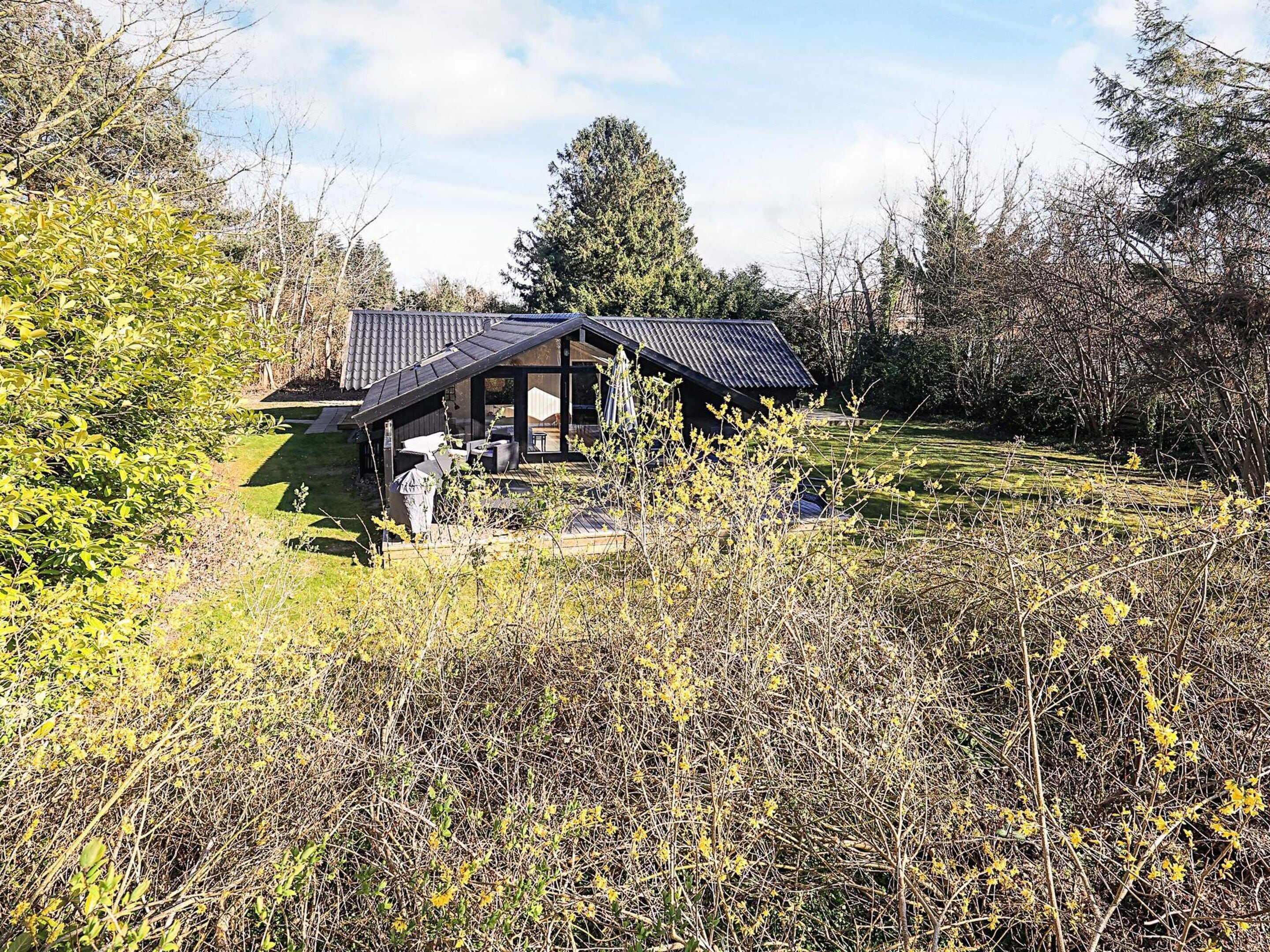 A modern house with a sloped roof, surrounded by a well-maintained lawn and dense shrubbery.