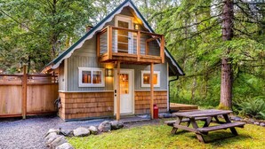 Unclassified image, 5 of 105, button - Mt Rainier Cabin! Sauna, Game Rm, Hot Tub, Firepit (Ashford)