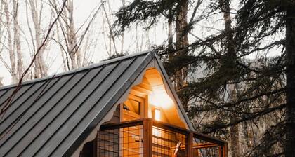Mt Rainier Cabin! Sauna, Game Rm, Hot Tub, Firepit