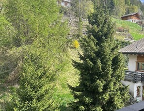 Apartment | 1 bedroom, individually furnished - Spacious Apartment With Balcony (Veysonnaz)